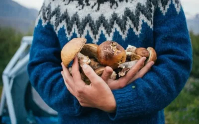 El hongo que sabe a carne: la edición genética crea una proteína más sostenible y con un 61% menos de impacto ambiental