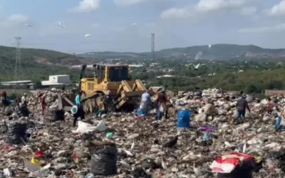 Pepenadores de Culiacán requieren apoyos en seguridad y con despensas en esta temporada: Guadalupe Camacho