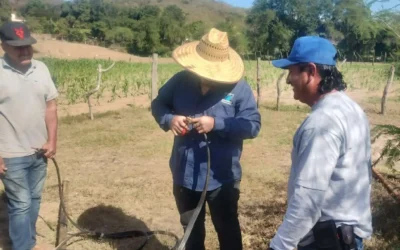 JUMAPAM mejora abasto de agua potable en el poblado de Porras
