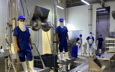 Rastro TIF de Mazatlán registra incremento en el procesamiento de porcinos y bovinos durante diciembre.