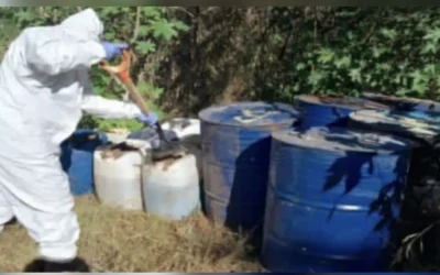 En Culiacán, Cosalá y Mocorito, el Grupo Interinstitucional aseguró seis áreas de concentración de materiales químicos