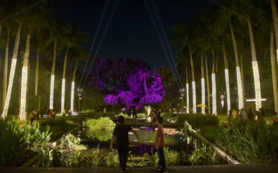 Más de 10 mil personas disfrutan de Navidad en el Botánico en su primera semana de apertura