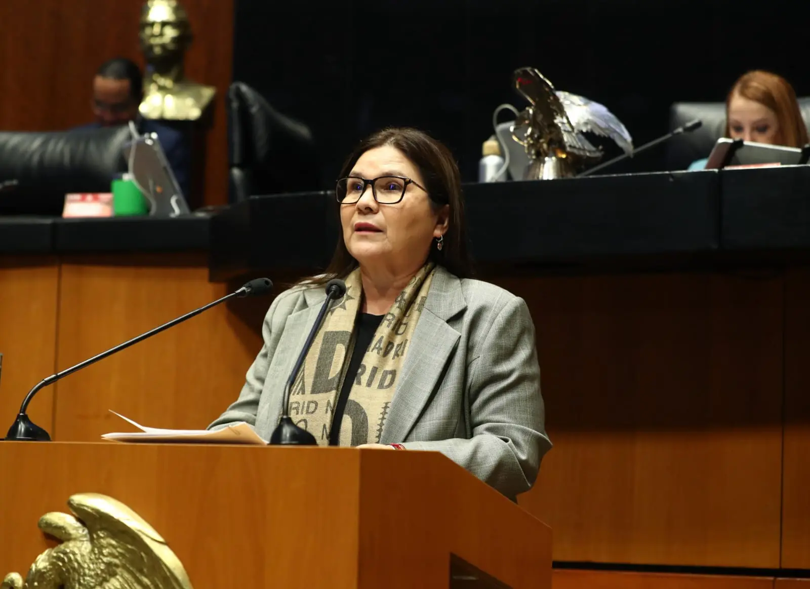 ”Urge subsanar vacío que mantiene sin protección a quienes se atreven a denunciar y alertar sobre la corrupción”: Imelda Castro.