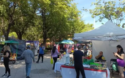 Espera Bazar Navideño aumento en ventas en últimos días del 2025: Laura Alicia Quevedo Pérez