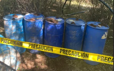 El Gabinete de Seguridad del Gobierno de México informa acciones relevantes del 15 de diciembre de 2025.