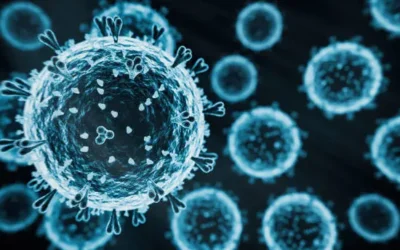 Sinaloa sin aumentos considerables hasta el momento, se debe continuar la vacunación: Prevención y Promoción de la Salud