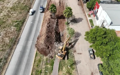 “El lunes 22 se abre la circulación en el bulevar Centenario”: Alcalde de Ahome