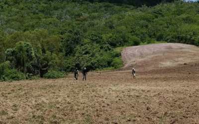 Encuentran restos humanos en el ejido El Castillo en Mazatlán