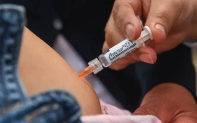 México, con mayores casos de influenza AH1N1: experta; Europa y EU, con más presencia de H3N2