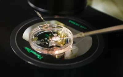 La Inteligencia Artificial ofrece nuevas perspectivas en la reproducción asistida