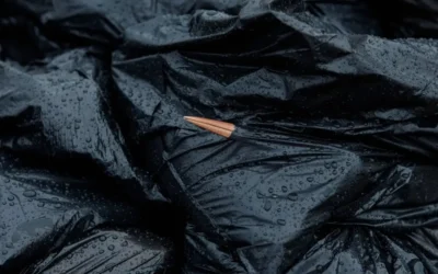 Gripe aviar deja cientos de cigüeñas muertas en España