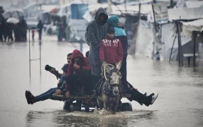 Agencia para Refugiados de Palestina advierte que gazatíes “están muriendo de frío”