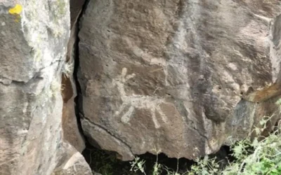 Descubren petrograbados milenarios durante trabajos del tren a Querétaro