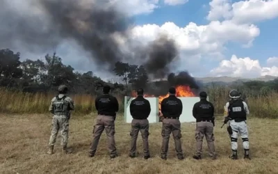 Incineran casi 100 kilos de drogas aseguradas en operativos federales en Chiapas