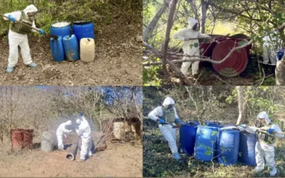 Otras 19 áreas clandestinas de almacenamiento de precursores químicos en Badiraguato, Culiacán y Cosalá fueron localizadas e inhabilitadas por el Grupo Interinstitucional.
