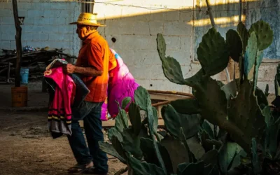 El Gobierno de Sinaloa brinda atención invernal a familias de jornaleros agrícolas en Ruiz Cortines, Guasave.