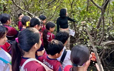 Fortalece Gobierno de Mazatlán acciones de protección ambiental con jornada “Cuidemos los Manglares”.