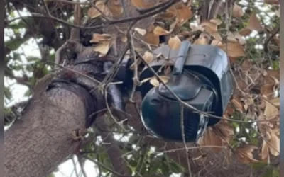 En Navolato, el Grupo Interinstitucional localiza y asegura cámaras con celda solar instaladas en árboles.