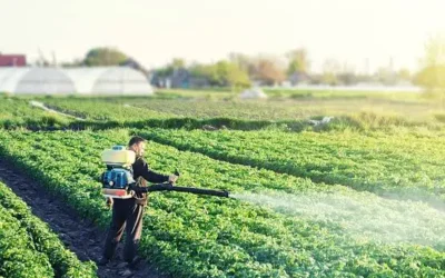 Autoridades de Sinaloa prevén cerrar ciclo agrícola con mayor control sanitario y estrategia comercial