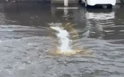 Protección Civil refuerza rondines por lluvias en Ahome y activa acciones preventivas para evitar inundaciones.