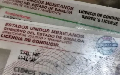 Propuesta de licencia de conducir permanente genera opiniones divididas entre ciudadanos de Sinaloa