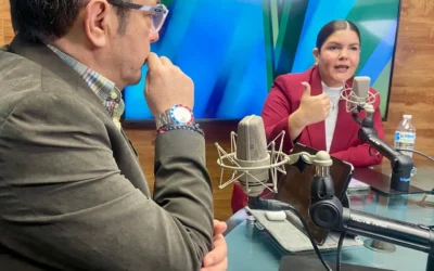 Con la Reforma Electoral no se atentará contra representación de las minorías: Diputada Federal Merary Villegas