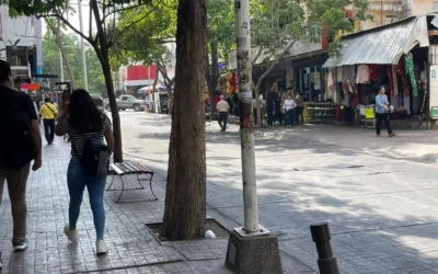 Ningún negocio ha solicitado apoyo directo tras amenazas: Rocha Moya