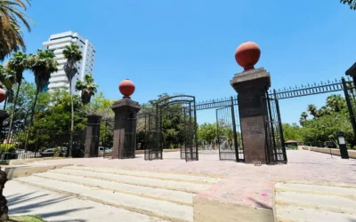 Llaman a ciudadanos de Ahome a llevar sus pinos al centro de acopio; apenas han recibido dos