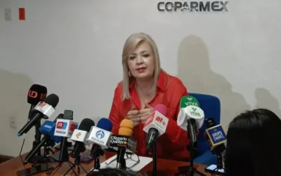 El gobierno debe devolver el compromiso que tiene el mexicano con estrategias que den certidumbre y esperanza: Martha Elena Reyes Zazueta