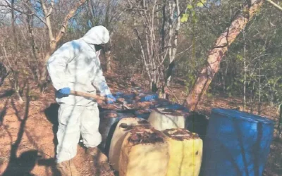 Guardia Nacional y Ejército Mexicano inhabilitan 24 áreas de concentración y aseguran armamento en Sinaloa