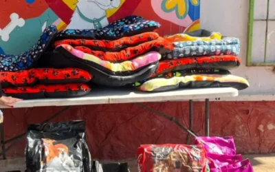 Fundación Balto y Togo inicia 2026 con colectas para sostener refugio animal en Culiacán