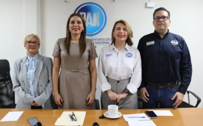 Reforma electoral pone en riesgo la libertad y la democracia del país: PAN.