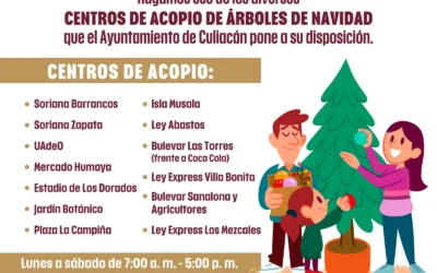 Ayuntamiento de Culiacán habilita centros de acopio para arbolitos navideños