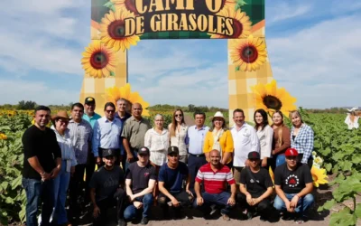 Mocorito se posiciona como un destino con encanto y esplendor natural.