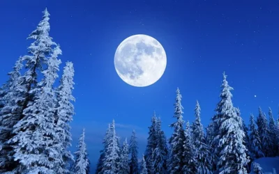 Superluna del lobo: Cómo y cuándo ver la primera luna llena de 2026