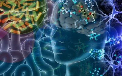 Descubren que las bacterias del intestino podrían desencadenar depresión bipolar