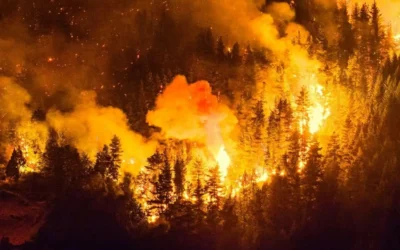 Incendios arrasan bosques en la Patagonia argentina; desalojan a más de 3 mil turistas
