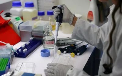 Una vacuna nasal experimental brindó protección contra la gripe aviar en animales