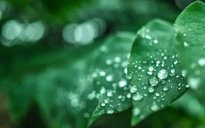 Para esta semana solo se esperan ligeras precipitaciones durante la madrugada del 13 de enero: Juan Espinosa Luna