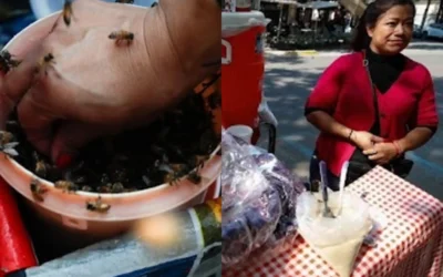 Acusan al dueño de una cafetería de envenenar a abejas en la Condesa