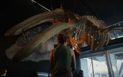 Grupo Petroil impulsa el cine y proyecta a Mazatlán al mundo con la filmación de “Pimienta.