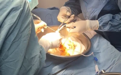 Realiza IMSS Sinaloa primer trasplante renal de 2026 en el HGR No. 1 de Culiacán.