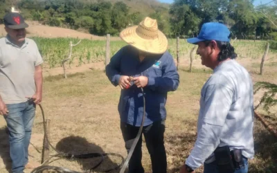 JUMAPAM da mantenimiento preventivo a sistemas de rebombeo y pozos de captación en zona rural.