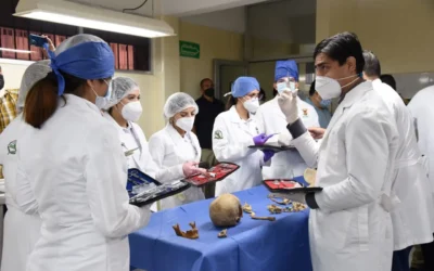 ¿No sabes qué carrera estudiar? Ofrece la Facultad de Psicología de la UAS orientación vocacional con rigor clínico a bajo costo.