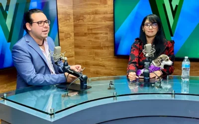 La esterilización de animales; beneficio para las mascotas y la sociedad: Fundación Amigos Animalistas