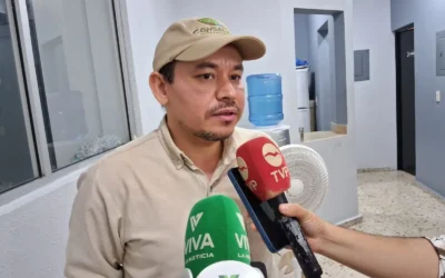 Aunque es tema prioritario, en Mazatlán no hay precedente de áreas naturales protegidas: CONSELVA