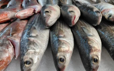 ¿Aumentará el costo de pescados y mariscos en Los Mochis esta Cuaresma? Conoce la lista de precios oficiales