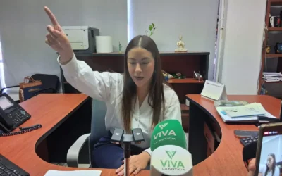 A partir del próximo 17 de marzo en Mazatlán, podrán tramitarse las licencias de conducir permanentes