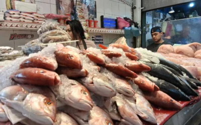 La Cuaresma no ha traído incremento en precios de pescados y mariscos, en Mazatlán
