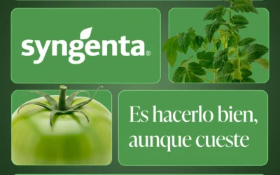 Los productos Syngenta protegen tu cultivo y lo hacen rendir más